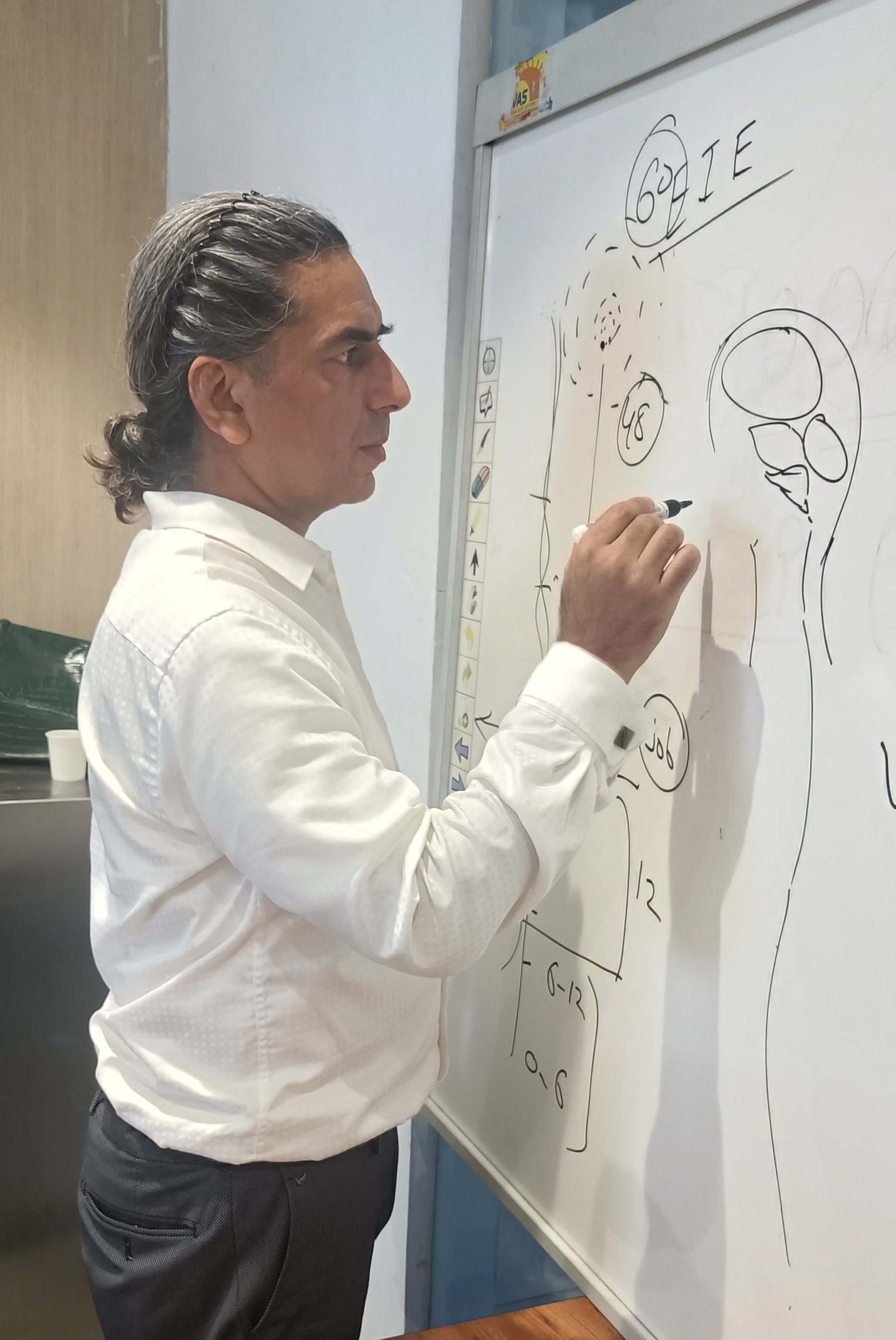 The nervous system and energy model